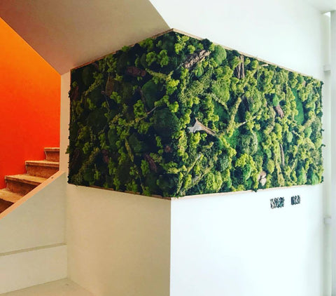 Evergreen Wide: Indoor Moss Wall