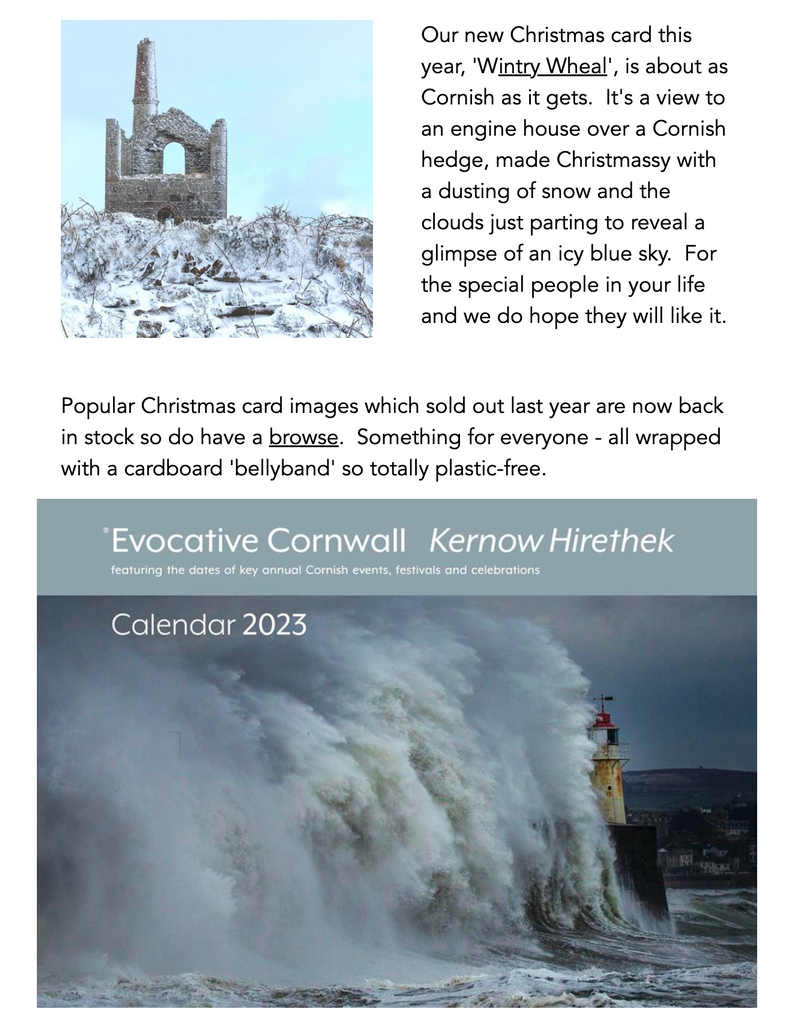 Autumn 2022 newsletter, new Christmas card and calenar
