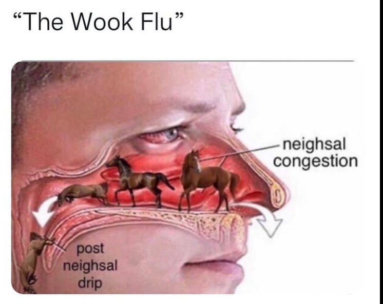 Wook Flu 