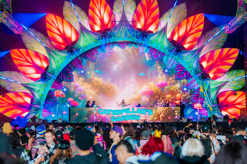 Beyond Wonderland