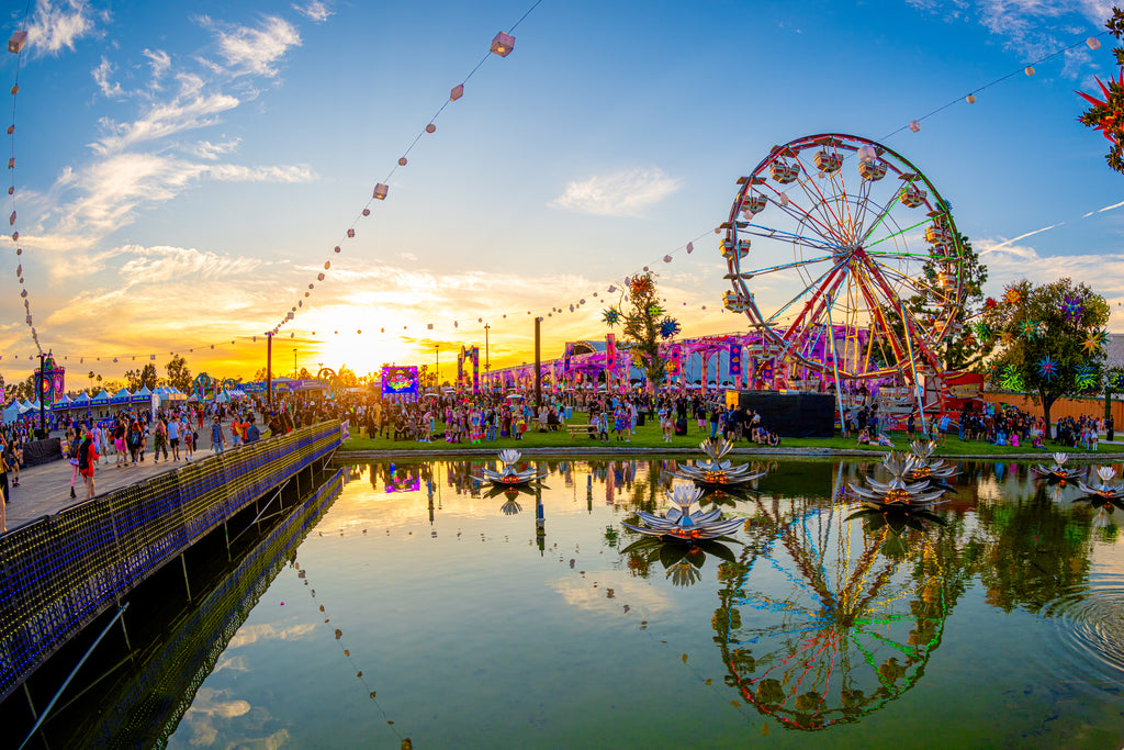 Beyond Wonderland