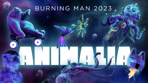 Music Festivals 2023, EDM, tickets, lineup, Burning Man