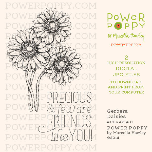 Gerbera Daisies Digital Stamp Set - Power Poppy by Marcella Hawley