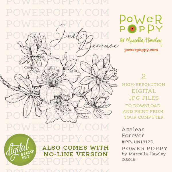 Azaleas Forever Digital Stamp Set - Power Poppy by Marcella Hawley
