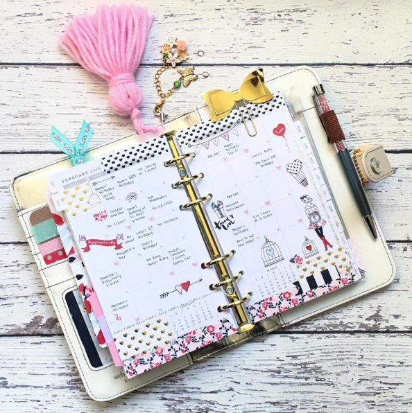 Pink planner tassle