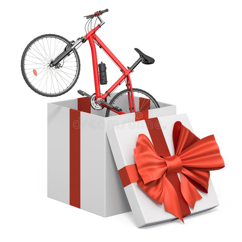 Valentine's Day bicycle gift