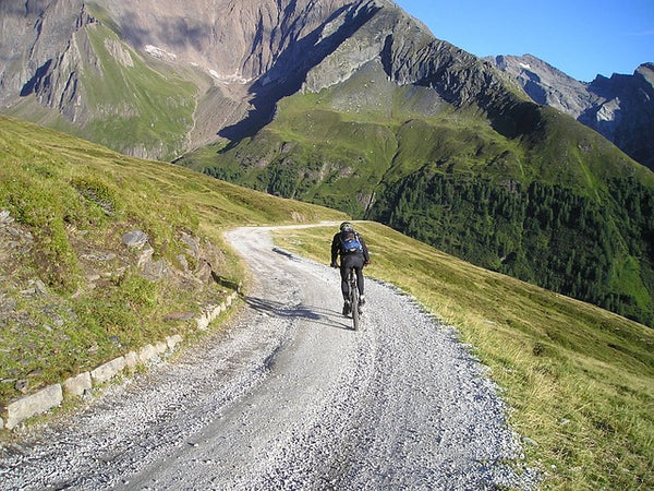 Bike Control on Rough Terrain