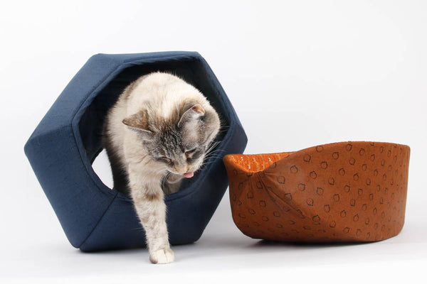 Navy blue Cat Ball cat bed and the brown tiger Cat Canoe