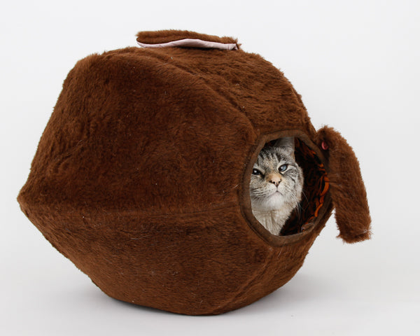 A cat peeking out of the novelty dog Cat Ball cat bed 