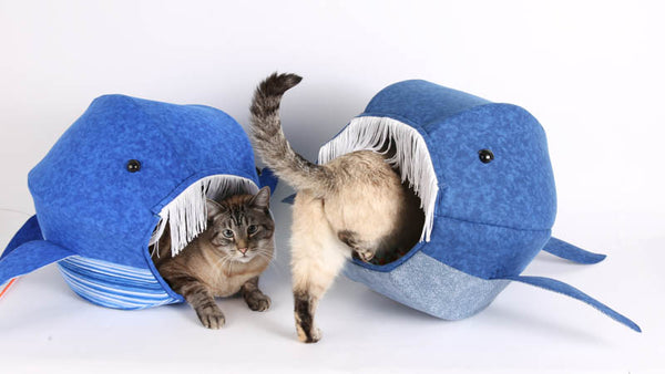 Retro and Tink demonstrate the whale Cat Ball® cat bed
