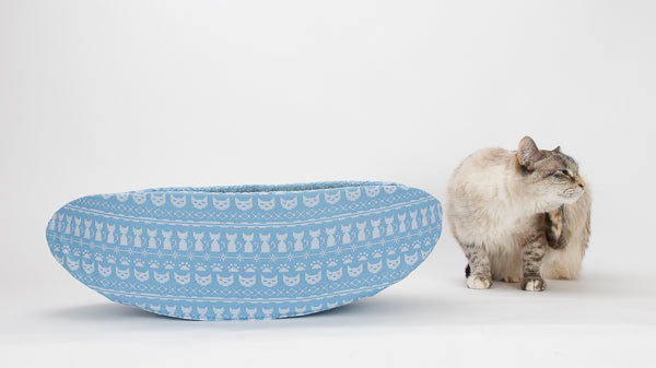 Our cat model Tink stops next to the blue cat knit fabric Cat Canoe because her ear itches