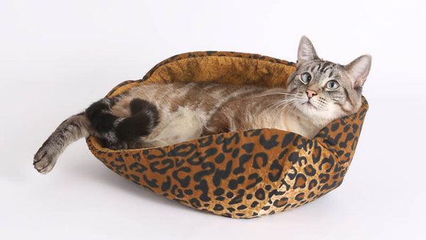 A large Siamese tabby cat lounging in a Cat Canoe bed
