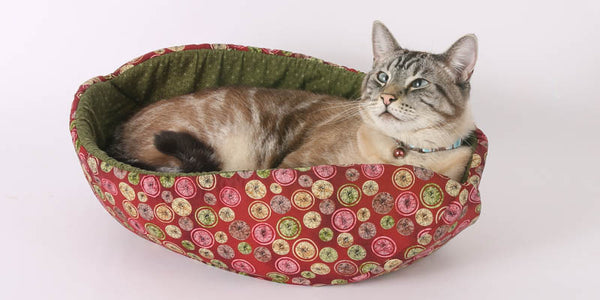 A fifteen pound cat uses the Cat Canoe modern pet bed