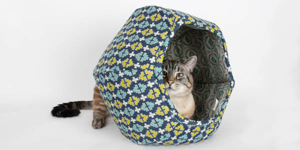 Retro inside the Cat Ball cat bed. This cat weighs about 17 pounds