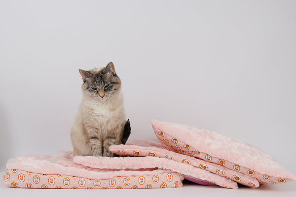 A small lynx point cat sits on a pile of prototype cat beds made in a luxury pink faux fur