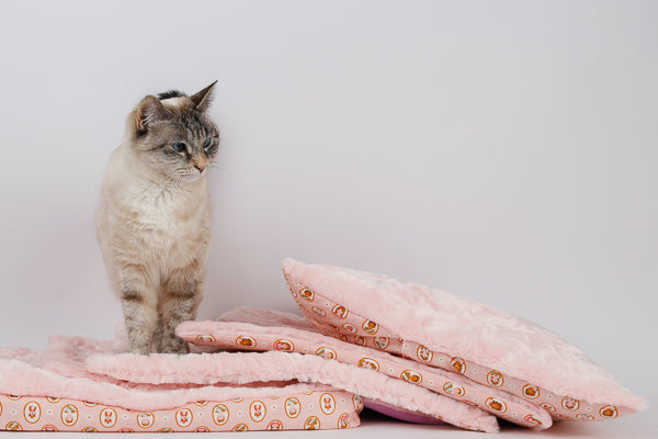 A cat investigates a stack of prototype cat sleeping mats made in a pink luxury faux fur