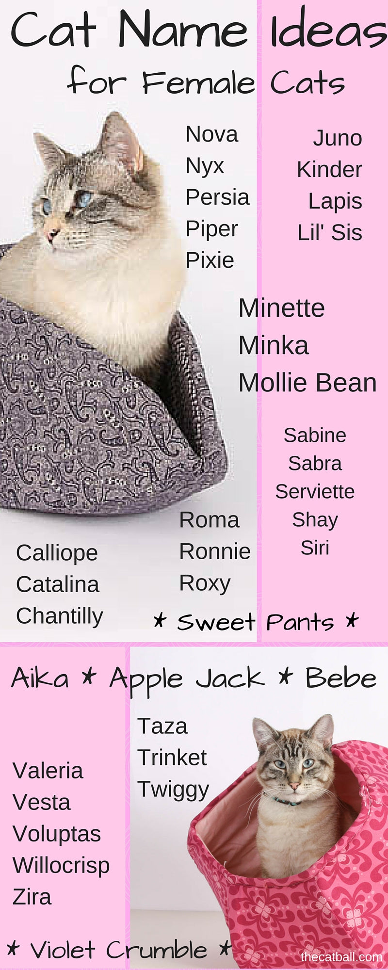 Cat name ideas for female cats