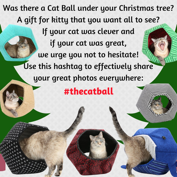 The Cat Ball official hashtag on Instagram is #thecatball