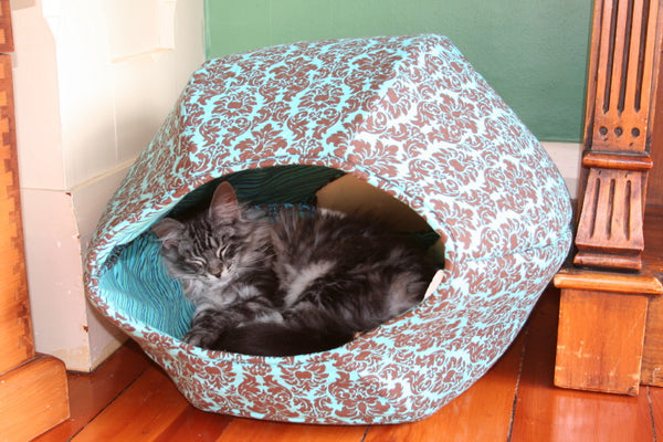 Merlin is a Maine Coon Cat, and inside a jumbo size Cat Ball® cat bed