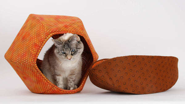 Cat Ball® in an orange fabric that coordinates with the brown tiger fabric Cat Canoe bed