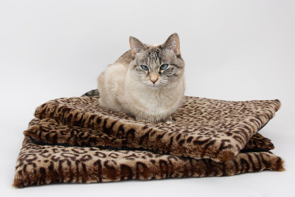 Our cat model Tink sits on a stack of leopard fur cat beds