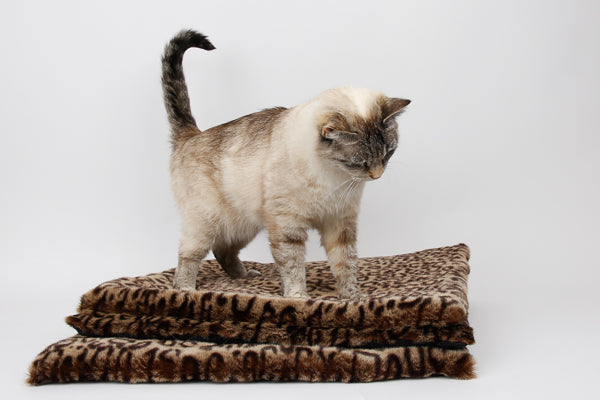 Our cat model Tink standing on a stack of luxury leopard fur cat sleeping mats