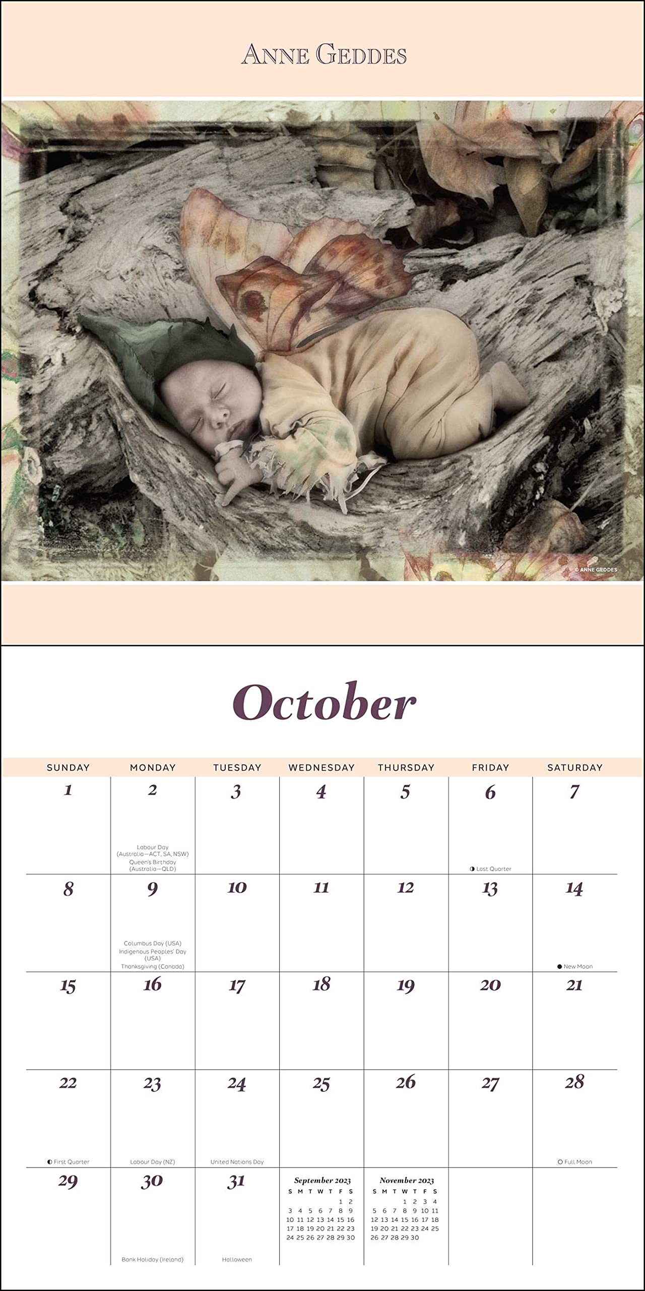 Anne Geddes 2023 Wall Calendar — DNA