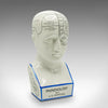 Vintage Phrenology Head