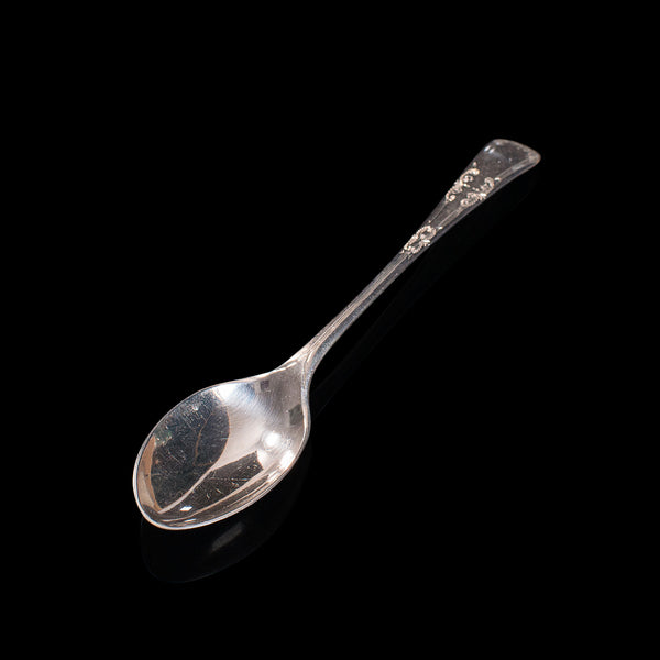 Antique Tea Spoon Service, English, Silver, WS Savage, Sheffield ...