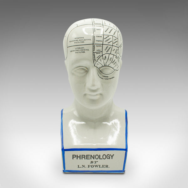 Vintage Phrenology Head, English, Ceramic, Decorative Bust, Medical ...