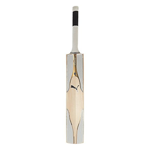 puma evopower bat