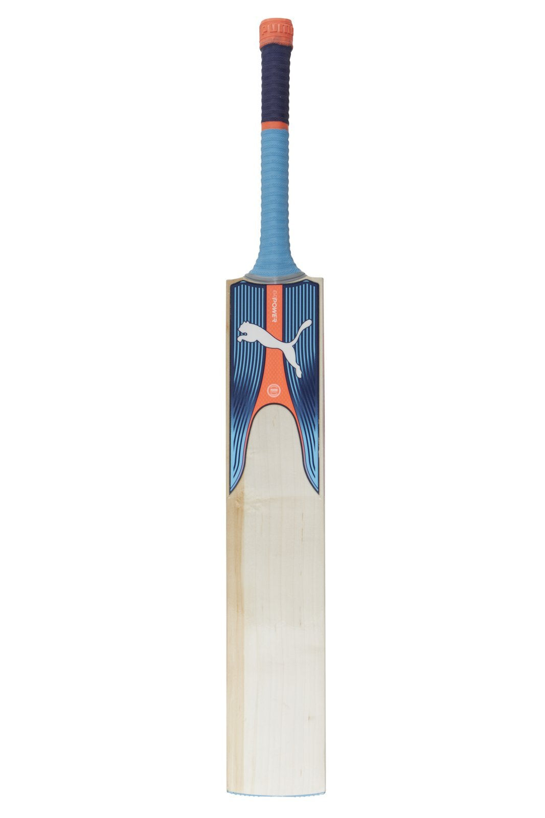 Special Edition English Willow Cricket 
