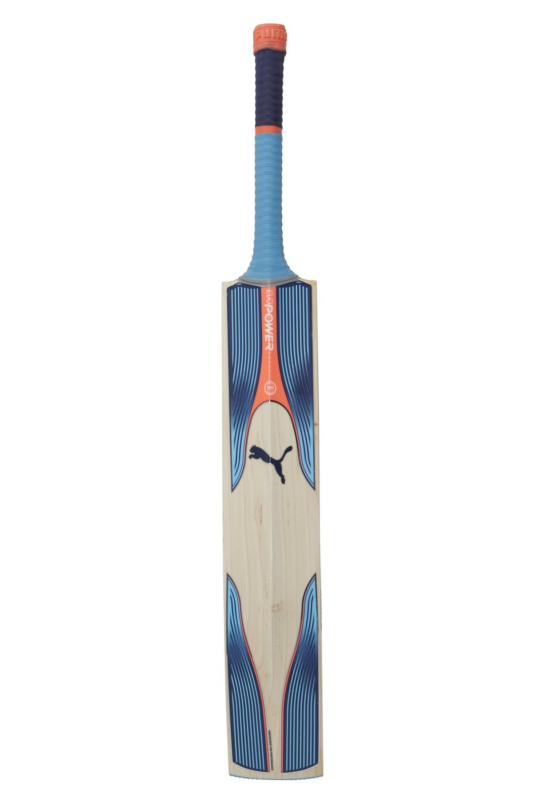Special Edition English Willow Cricket 