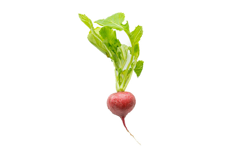 Radishes