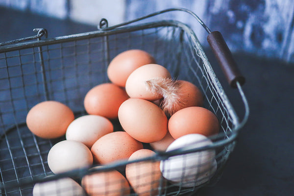 Pasture raised eggs in a basket.