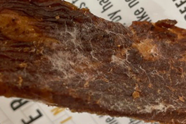 Mold on Beef Jerky