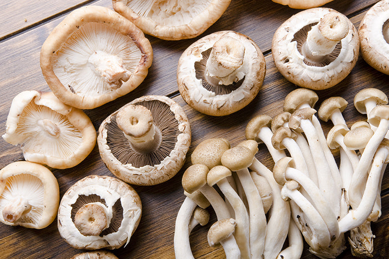 The most popular mushrooms are Portobello, Shiitake, Oyster, and King Oyster.