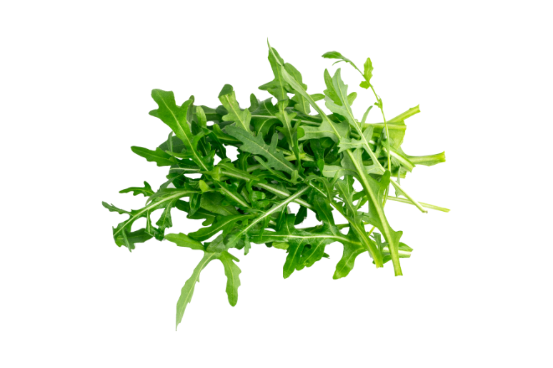 Arugula