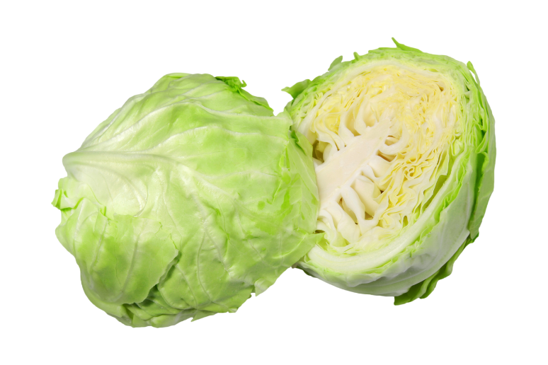 Cabbage