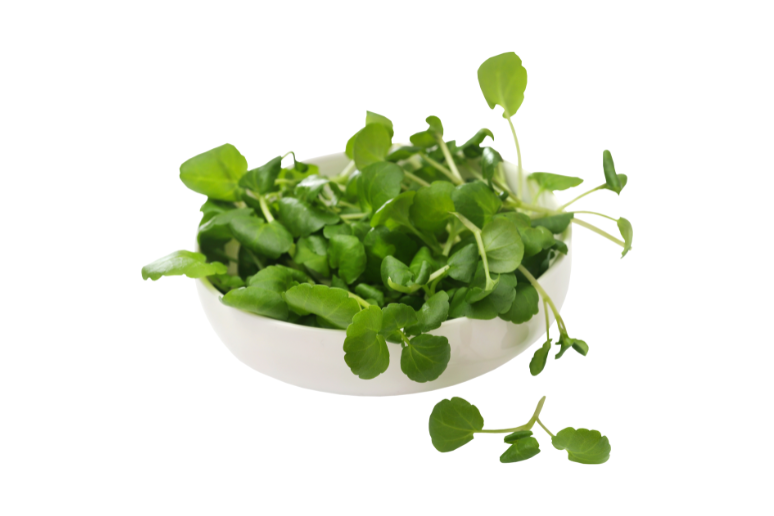 Watercress