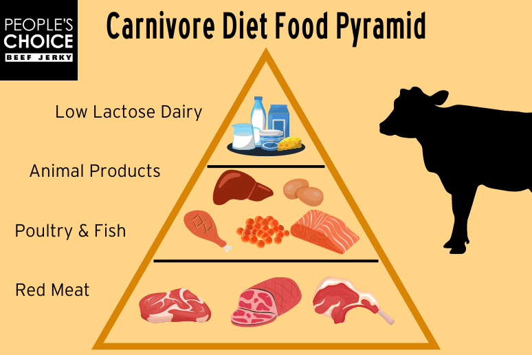 Carnivore Diet Food Pyramid