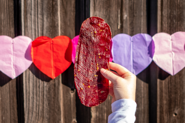 Someone holding a jerky slab