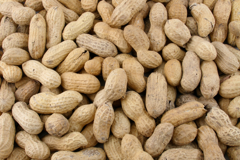 Peanuts