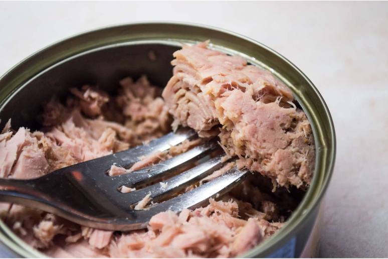 Canned tuna