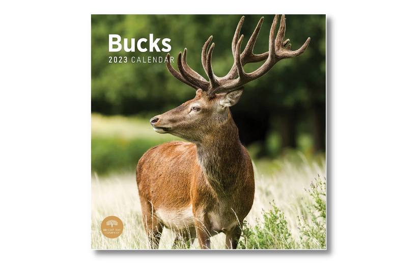 Bucks Wall Calendar
