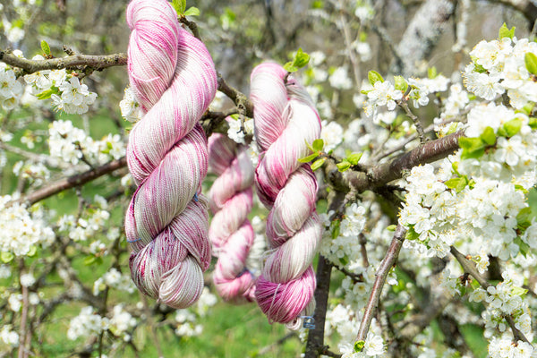 Pink and green pastel merino and silk yarn with bright pink speckles hanging in an apple blossom tree