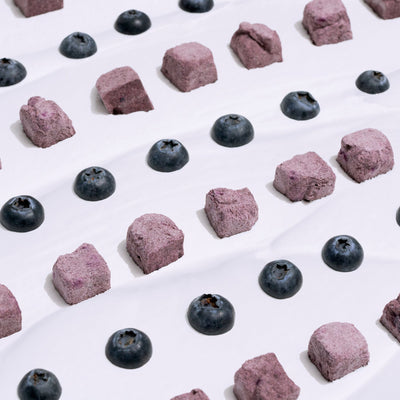 WaggingBum ANYTIME YOGURT! Freeze-dried Yogurt | Blueberry - Dog Treats - WaggingBum - Shop The Paw