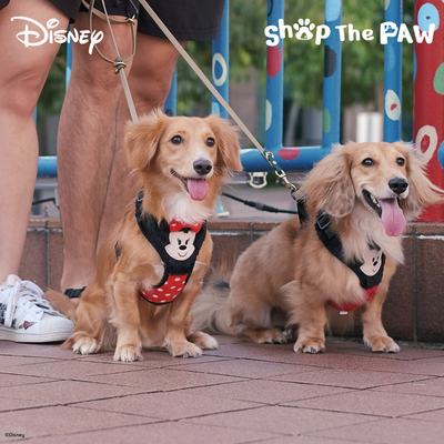 Disney Adjustable Harness | Furry Minnie Mouse - Pet Collars & Harnesses - Disney/Pixar - Shop The Paw