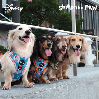 Disney Adjustable Harness | Winnie The Pooh - Pet Collars & Harnesses - Disney/Pixar - Shop The Paw