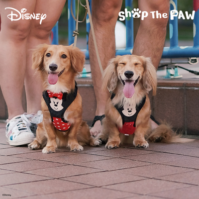 Disney Adjustable Harness | Furry Minnie Mouse - Pet Collars & Harnesses - Disney/Pixar - Shop The Paw